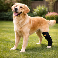 Pet Leg Brace for Injury Recovery, Anti-Lick, Anti-Scratch, Protective Sleeve for Dogs