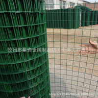 Welded Wire Mesh Fence for Orchard, Fish Pond, and Highway Protection