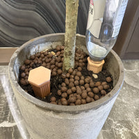 Terracotta Self-Watering Spikes with Lids for Garden Plants