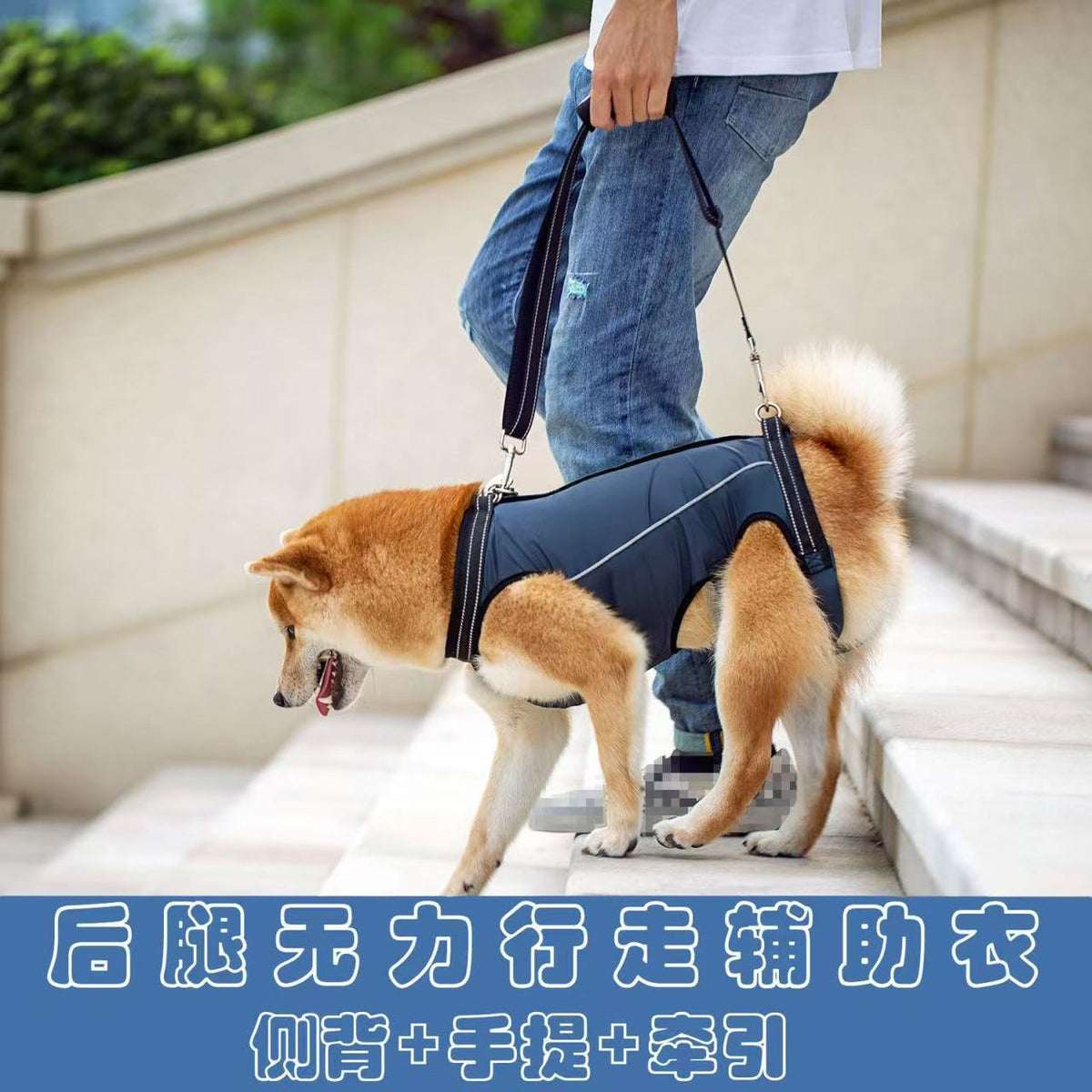 Dog Rear Leg Support Harness for Senior, Injured, or Disabled Dogs