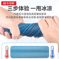 Cooling Towel for Sports and Fitness - Quick Dry, Sweat Absorbent, Portable