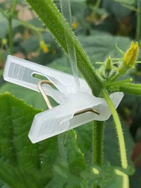 Plant Support Clips for Tomatoes, Cucumbers, and Vine Crops - Greenhouse Trellising Clips