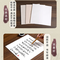Xuan Paper Art Core for Chinese Painting and Calligraphy Practice, Raw/Half-Raw/Ripe Xuan Paper, Fan-shaped/Round/Square