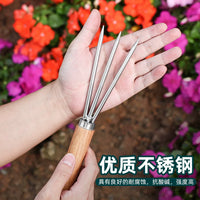 Stainless Steel Bonsai Soil Loosening Rake and Fork Tool for Gardening