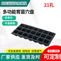 Thickened Seedling Tray with Drainage Holes for Indoor Gardening, Vegetables, Berries, and Succulents