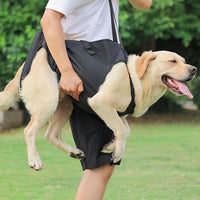 Dog Mobility Harness for Injured, Disabled, or Elderly Dogs