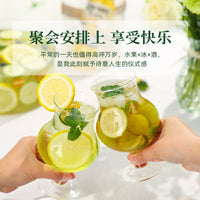 Portable Transparent Fruit Ice Bucket with Handle for Picnics and Outdoor Parties