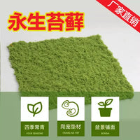 Artificial Moss Turf and Moss Silk for Micro Landscape Decor