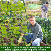 Adjustable Steel Pipe Trellis for Climbing Plants, Cucumber, and Vegetable Support