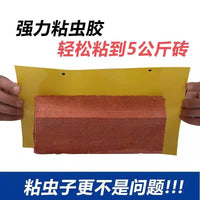 Double-Sided Yellow and Blue Sticky Traps for Thrips, Aphids, Fruit Flies, and Other Flying Insects - Agricultural Greenhouse Pest Control