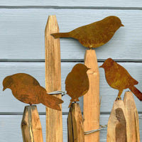 Rustic Metal Bird Silhouette Garden Decor for Trees and Outdoors