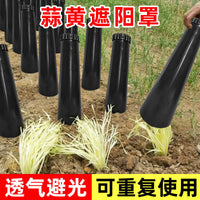 Garlic Chive Growing Tube for Home Balcony Vegetable Cultivation