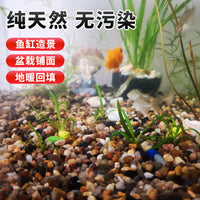 50lb Natural Polished River Pebbles for Aquariums and Landscaping