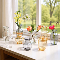 European Style Light Luxury Glass Vase Set for Hydroponic Plants and Fresh Flowers