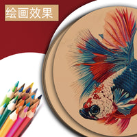 Round Colored Cardstock 200g Thick Art Paper for Students Kindergarten DIY Craft Material Hard Cardboard