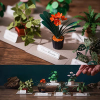 Jeancard 3D Laser Cut Paper Model Kit Mini Potted Plants DIY Craft