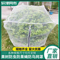 Fruit Tree Protective Net Cover for Bayberry Cherry Peach Succulents - Anti-Insect Wind Bird Netting Greenhouse Canopy