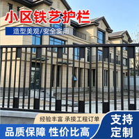 Galvanized Iron Art Security Fence for Villas and Industrial Parks