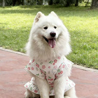 Breathable Summer Dog Dress Vest for Large Dogs, Lightweight Princess Style with Flutter Sleeves