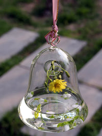 Hanging Thickened Transparent Glass Mini Fish Tank with Stand, Creative Round Hydroponic Plant Ornament