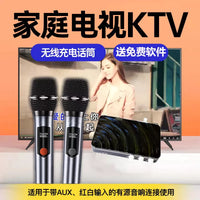 Wireless Bluetooth Karaoke Microphone System for TV Projector KTV Home Use with Echo Wall