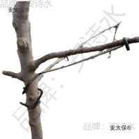 Fruit Tree Branch Spreader for Gardening and Training