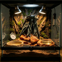 Reptile Hideaway Cave Decoration for Terrariums - Simulated Tree Root & Vine Design for Lizards, Frogs, Geckos, Snakes