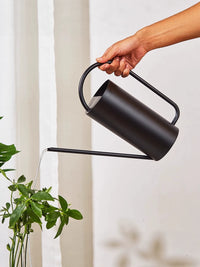 Stainless Steel Long Spout Watering Can for Indoor Plants, Succulents, and Kids - Mini 300ml to 1000ml