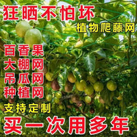 Heavy-Duty Plant Trellis Netting for Climbing Vegetables and Fruits