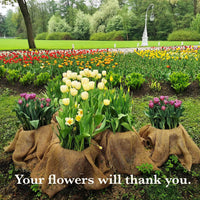 Burlap Plant Frost Protection Wrap for Winter Tree & Shrub Care
