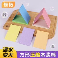 Compressed Wood Pulp Sponge for Kitchen Cleaning, Non-Stick Oil, Absorbent, Stain Removal