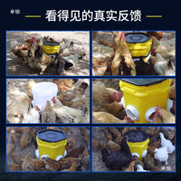 Automatic Poultry Feeder and Waterer for Ducks, Chickens, and Pigeons - Outdoor Waterproof Trough