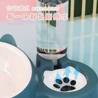 Automatic Water Dispenser and Food Bowl Set for Cats and Small Dogs, Elevated Pet Feeder with Anti-Spill Design