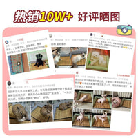 Pet Cooling Mat Woven Rattan Summer Bed for Cats and Dogs, All Seasons