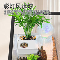 Turtle Tank with Basking Platform and Filter for Small to Medium Reptiles