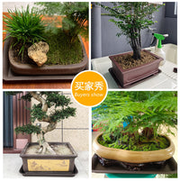Thickened Rectangular Frosted Plant Pot Saucer for Bonsai and Potted Plants, Water Catch Tray