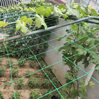 Plant Climbing Net for Fruits and Vegetables, Trellis Netting for Vines, Loofah, Bitter Gourd, Passion Fruit, and Beans