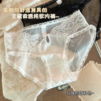 Women's Lace Briefs Sexy Breathable Underwear (4-Pack)