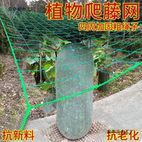 Heavy-Duty Plant Trellis Netting for Climbing Vegetables and Fruits