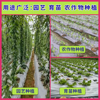 Silver-Black Reflective Mulch Film for Vegetable & Fruit Cultivation, Weed Control, and Pest Repellent