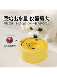 Mini Floating Pet Water Bowl for Small Dogs & Cats - No-Spill, Anti-Wet Mouth Design