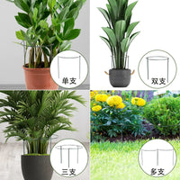 Semi-Circular Iron Plant Support Stakes for Climbing Plants and Flowers