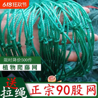 Plant Climbing Net for Vines, Fruits, and Vegetables - Durable Trellis Support