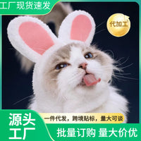 Pet Bat/Spider Hat for Cats and Small Dogs, Rabbit Ear Design, Birthday Party Costume Accessory