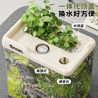 Durable Transparent Plastic Desktop Fish Tank with Optional LED Light for Turtle and Aquatic Ecosystems