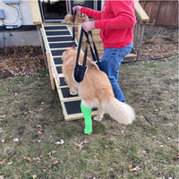 Dog Lift Harness for Support and Rehabilitation - Portable Pet Mobility Aid