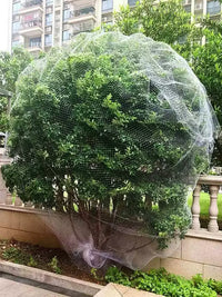 Orchard Bird Netting for Fruit Trees and Vegetables - Durable Nylon Protective Mesh