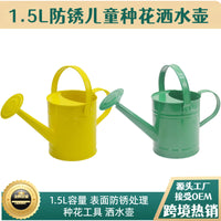 1.5L Metal Watering Can for Indoor/Outdoor Plants and Kids