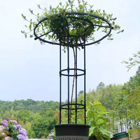 Metal Garden Trellis for Climbing Plants, Roses, Clematis - Umbrella Shape Plant Support
