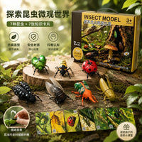 Wind-Up Insect Toy Set for Kids - Crawling Beetle, Bee, and Bug Models